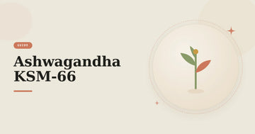 Illustration av en grön örtplanta – guide om ashwagandha KSM-66 och withanolider.