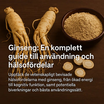 På ett bord ligger ginseng rötter, samt hackade del av rötterna och en skål med pulver av ginseng. På bilden står sedan ginseng en komplett guide till användning och hälsofördelar