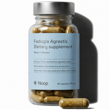 Fadogia Agrestis Noop Tongkatbutiken.se