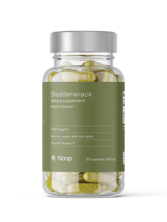 Blåstång, Bladderwrack Noop - Tongkatbutiken.se